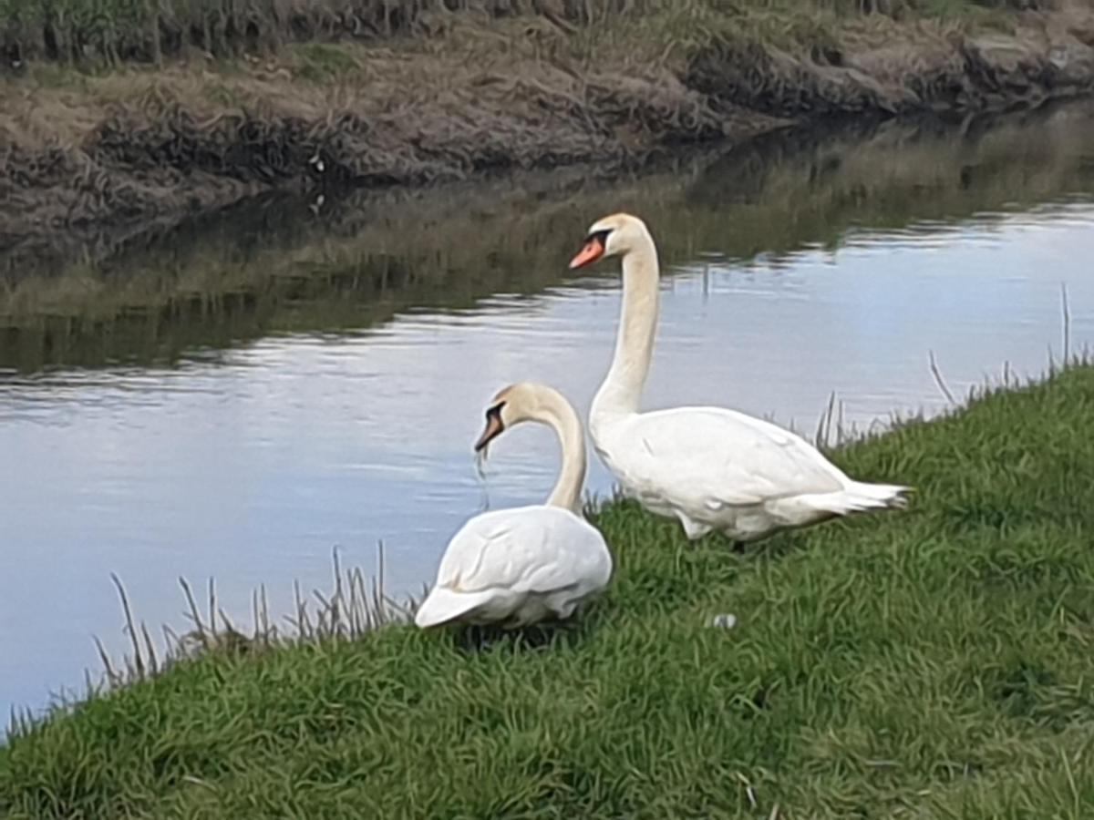 Delightful Cottage On The River Adur Close To Brighton & The Downs No Dogs Sorry Upper Beeding Ngoại thất bức ảnh