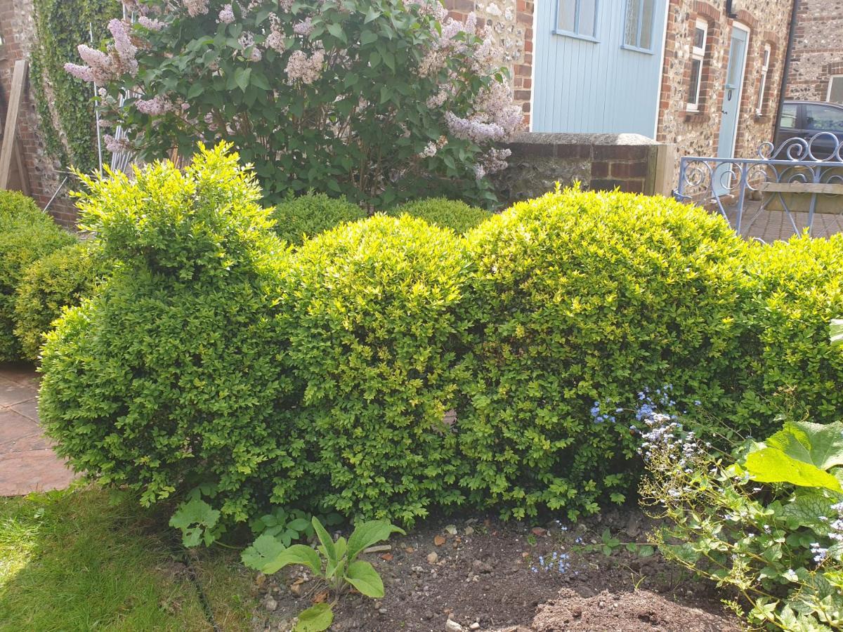 Delightful Cottage On The River Adur Close To Brighton & The Downs No Dogs Sorry Upper Beeding Ngoại thất bức ảnh